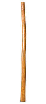 Gloss Finish Didgeridoo (TW1319)